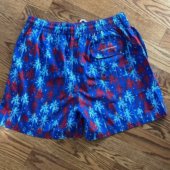 Men’s Southern Proper Swimming Trunks. Size Large. Excellent Condition. - Picture 7 of 8